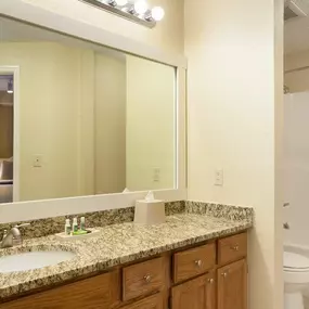 Guest room bath