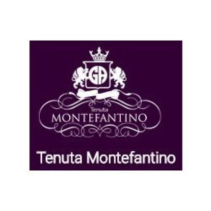 Λογότυπο από Vini Tenuta Montefantino