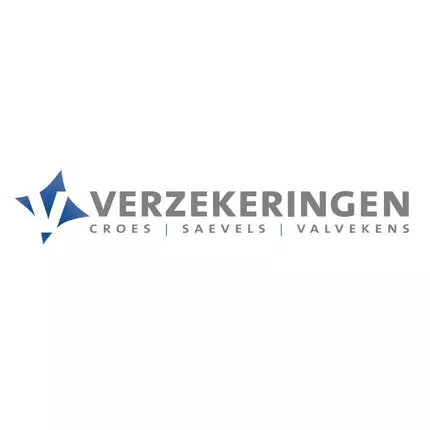 Logo da Verzekeringen CSV