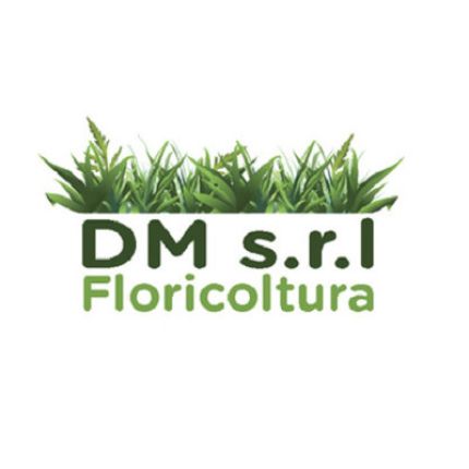 Logo from Dm Srl  Floricoltura