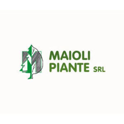 Logo de Maioli Piante