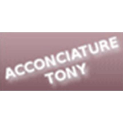 Logo from Acconciature Pino e Tony