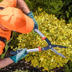 Ground maintenance