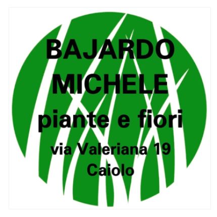 Logo da Bajardo Michele - Piante e Fiori