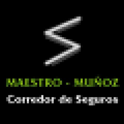 Logotyp från Maestro-Muñoz Corredor de Seguros