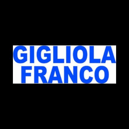 Λογότυπο από Elettrodomestici Franco Gigliola