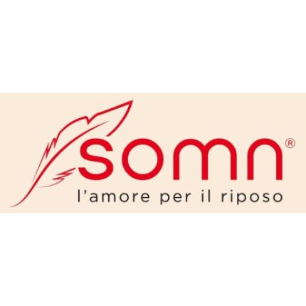 Logo van Somn
