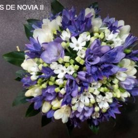 floristeriadetomas_ramosdenovia.JPG