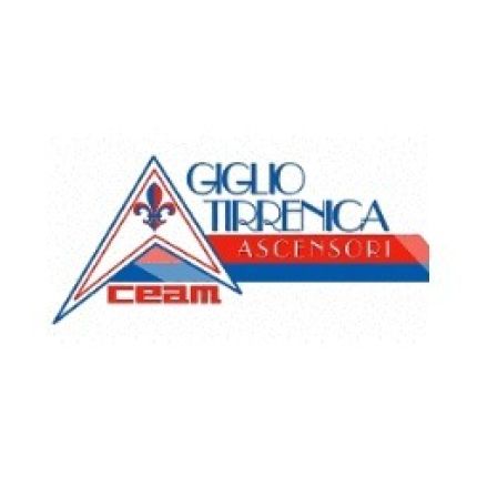 Logo van Giglio Tirrenica Ascensori