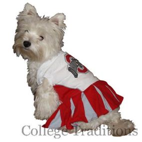 Dog cheer-leading outfit