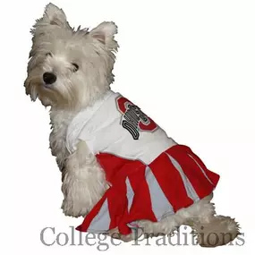 Dog cheer-leading outfit