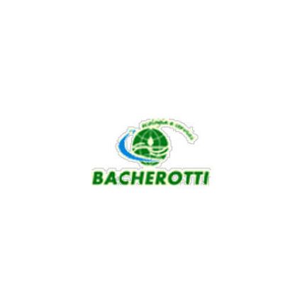 Logo da Bacherotti