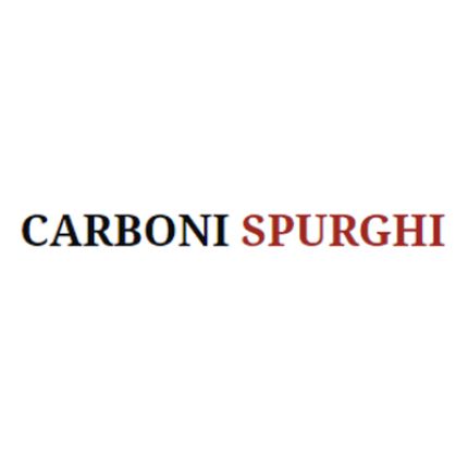 Logo from Carboni Spurghi
