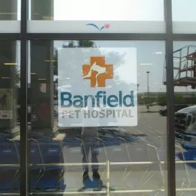 Banfield Pet Hospital® - Chesterfield