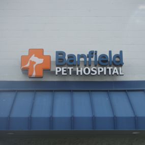 Banfield Pet Hospital - Winston-Salem