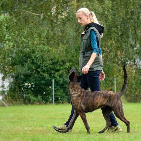 Bild von Dog Trainer College