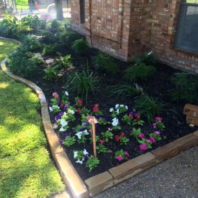 Give your yard a new life! Contact us today!