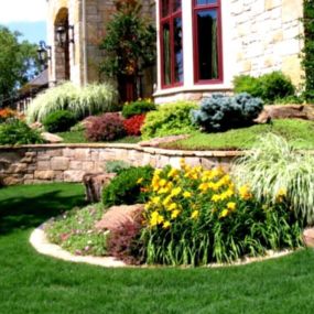 Give your yard a new life! Contact us today!