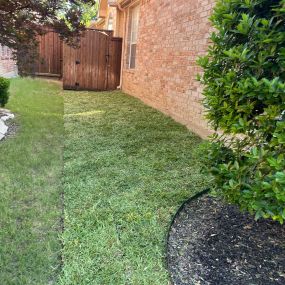 Give your yard a new life! Contact us today!