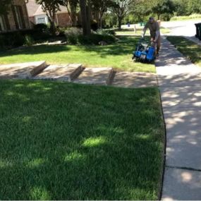 Give your yard a new life! Contact us today!