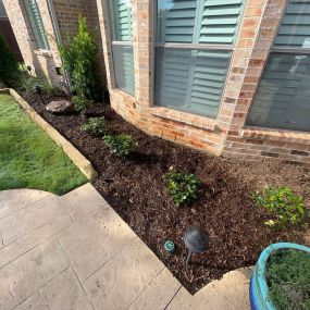 Give your yard a new life! Contact us today!