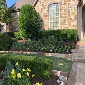 Give your yard a new life! Contact us today!