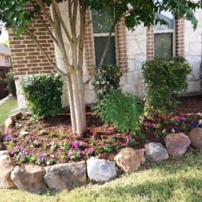 Give your yard a new life! Contact us today!