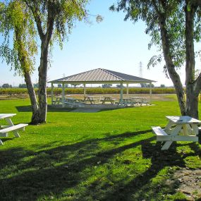 Bild von Thousand Trails Lake Minden
