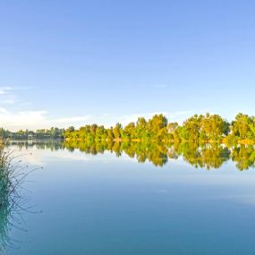 Bild von Thousand Trails Lake Minden