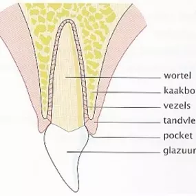 Engweg Mondhygiënistepraktijk