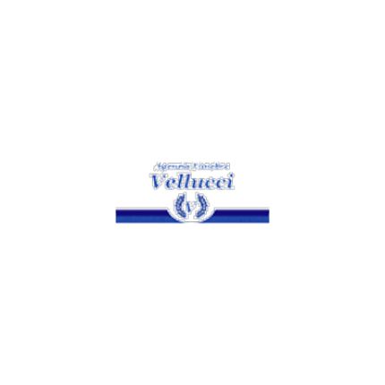 Logo de Agenzia Funebre Vellucci dei F.lli Vellucci Srl