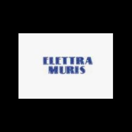 Logotyp från Elettra Muris Sas Impianti Elettrici
