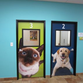 Bild von Banfield Pet Hospital