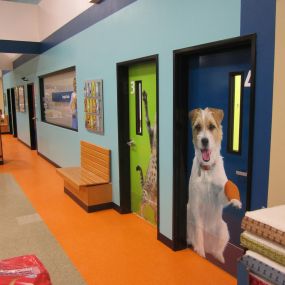 Bild von Banfield Pet Hospital