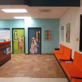 Bild von Banfield Pet Hospital