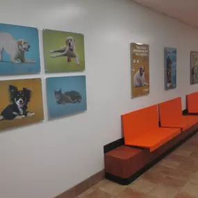 Bild von Banfield Pet Hospital