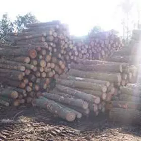 maderas-j-seoane-sl-madera-03.jpg