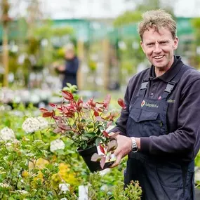 Tuinplant.nl BV