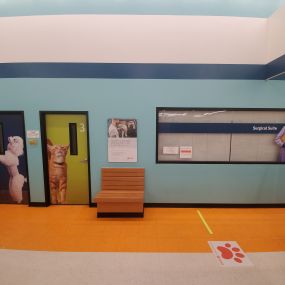 Bild von Banfield Pet Hospital