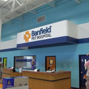 Bild von Banfield Pet Hospital