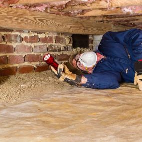 Termite Control You Can Depend On
