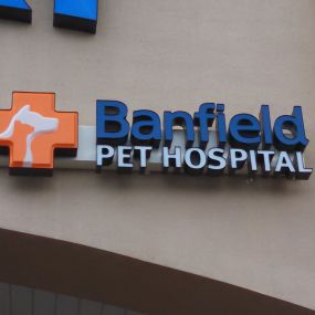 Banfield Pet Hospital® - Saratoga Springs