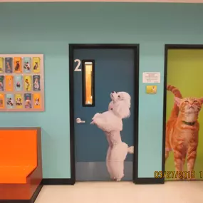 Bild von Banfield Pet Hospital