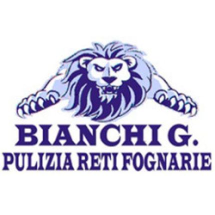 Logo da Bianchi Gianluca Pulizia Reti Fognarie