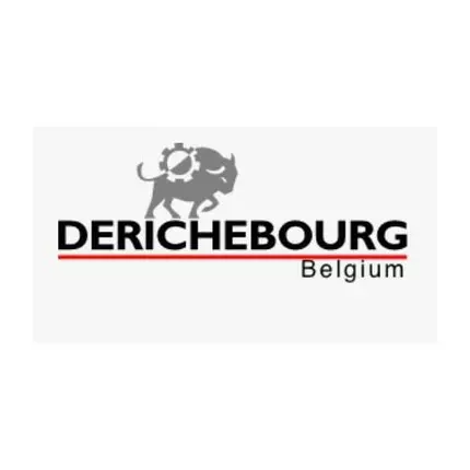 Logotyp från Derichebourg Belgium Charleroi