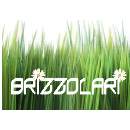 Logo de Brizzolari