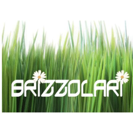 Logo fra Brizzolari