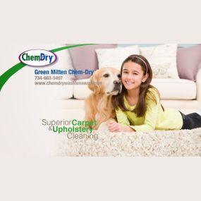 We serve the Washtenaw County area in Michigan with superior carpet and upholstery cleaning.