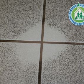 Our technicians are trained to ensure your floors are clean and sanitized while protecting your grout.