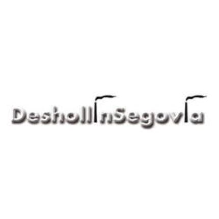 Logotipo de DeshollinSegovia